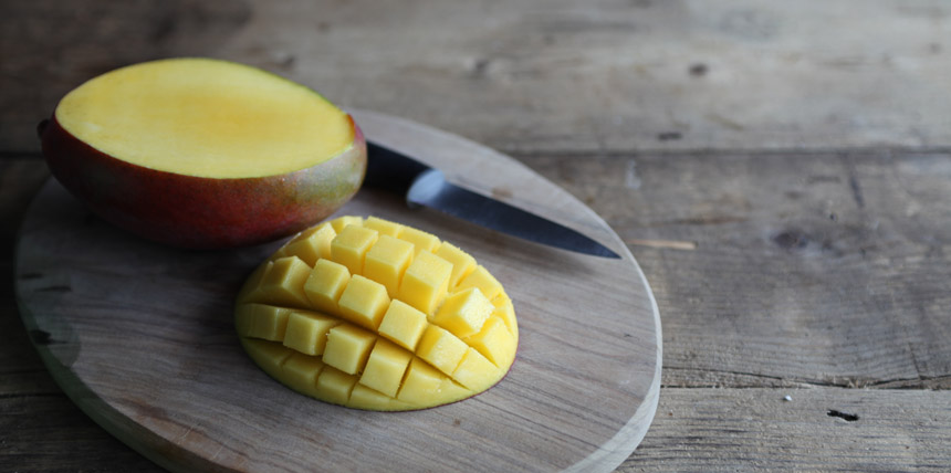 Mango-hedgehog_xl