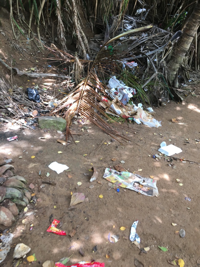 Jungle Beach 1