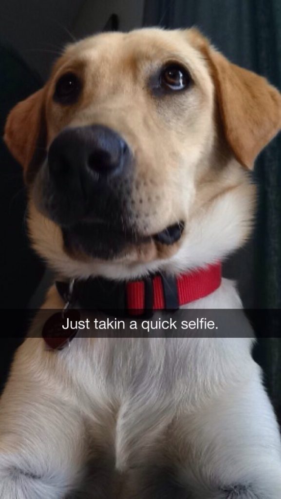 Image Courtesy of Odyssey