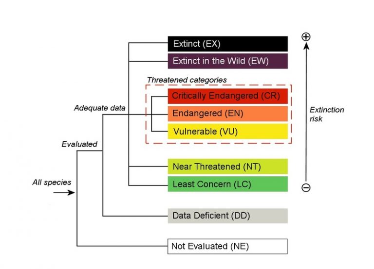 A Barometer On Life The 2020 IUCN Red List Pulse